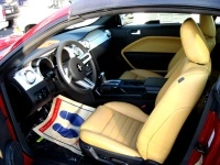 img8865copyim6.th.webp