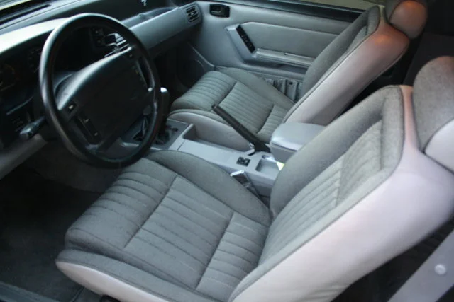 img9460vw.webp