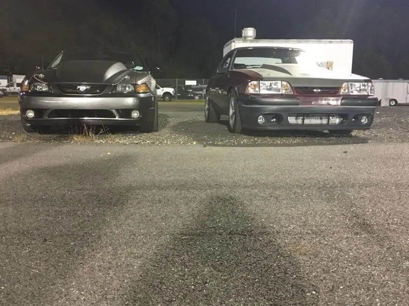 IMG950693.webp