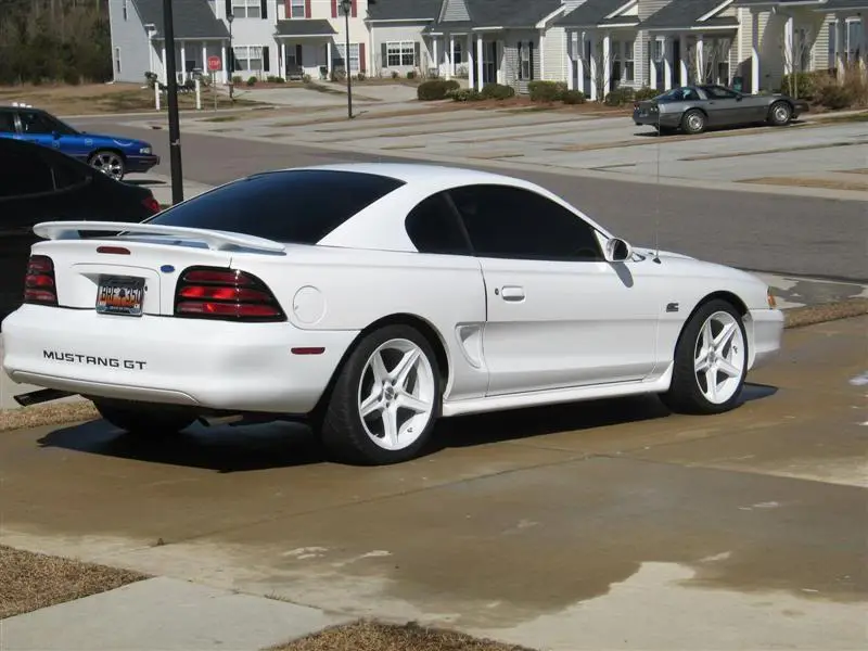IMG_0035Medium.webp