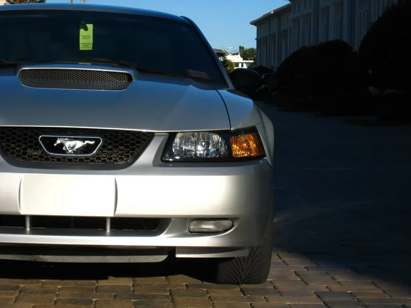 IMG_0039.webp