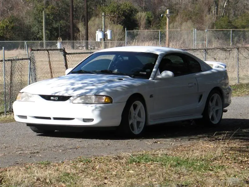 IMG_0050Medium.webp