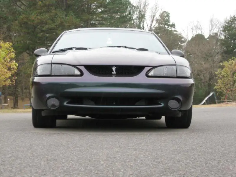 IMG_0052.webp