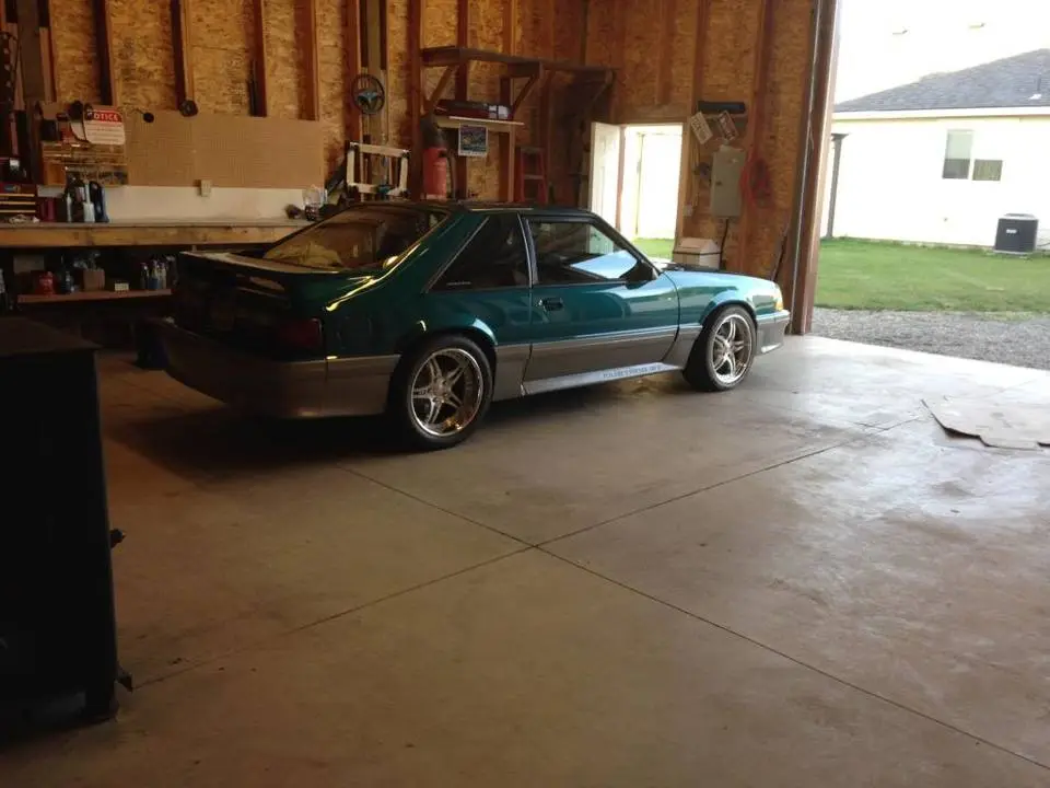 IMG_0077_zps2950a847.webp