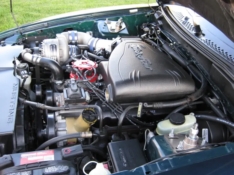 IMG_0079.webp
