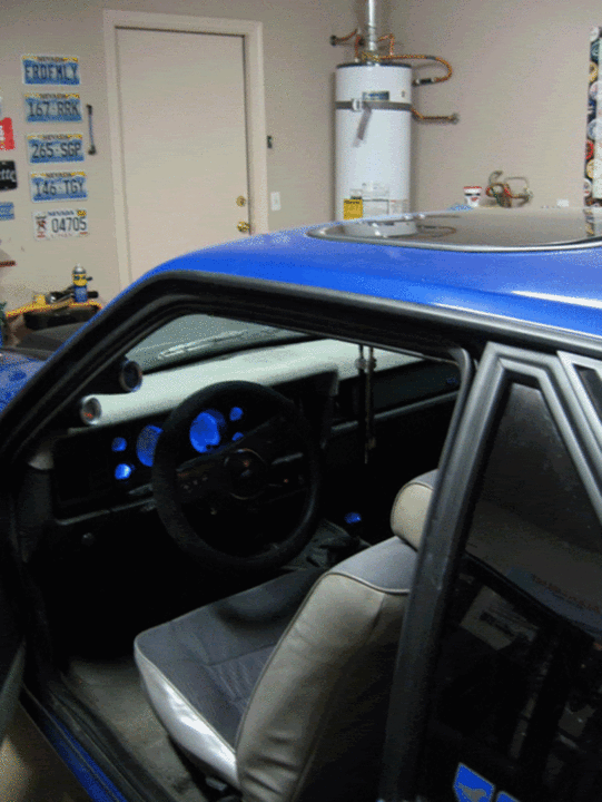 IMG_0085copy.gif