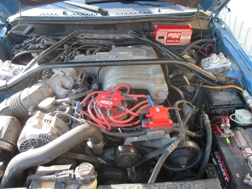 IMG_0087_zpsk5uawzb7.webp