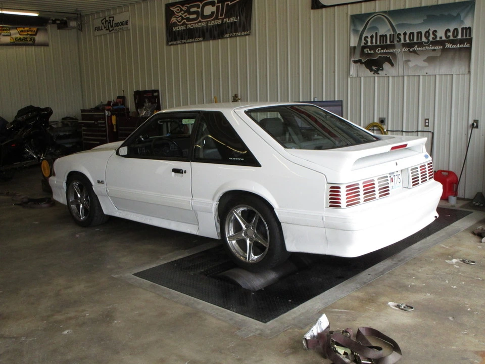 IMG_0100_zps76qbyqme.webp