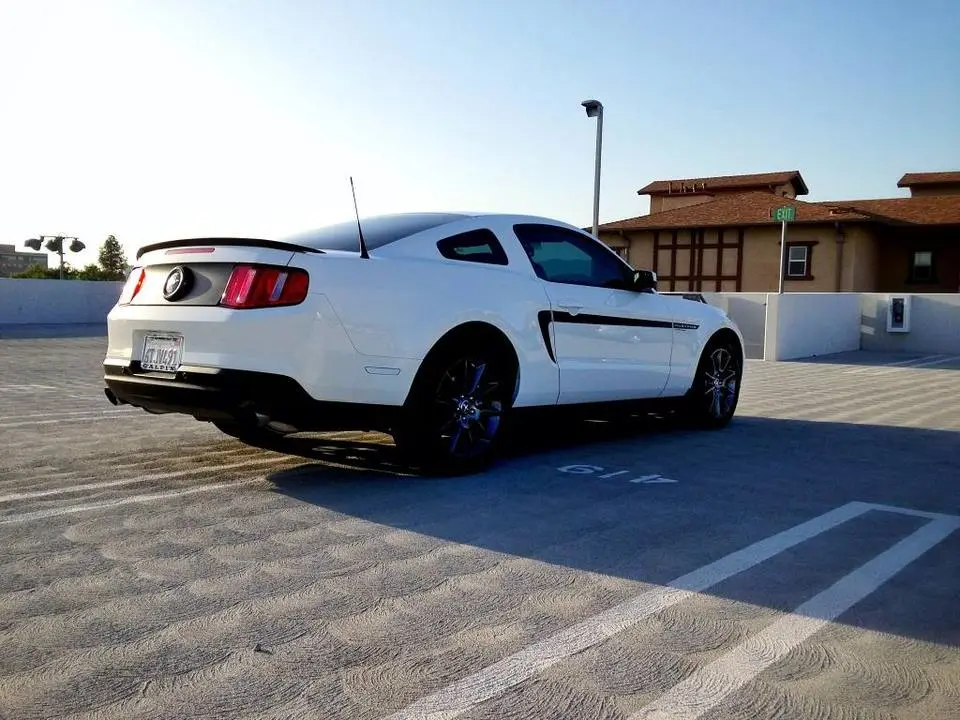 IMG_0110_zps223f2a50.webp
