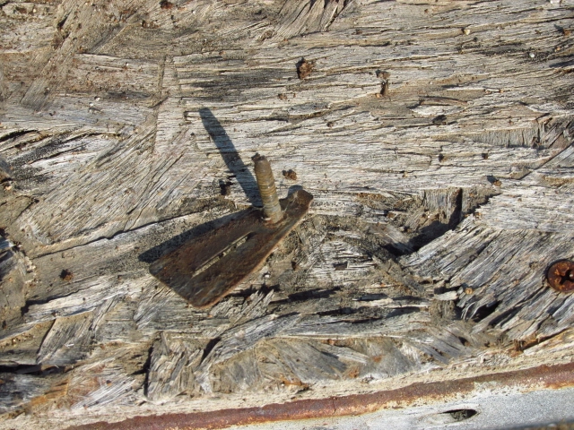 IMG_0208.webp