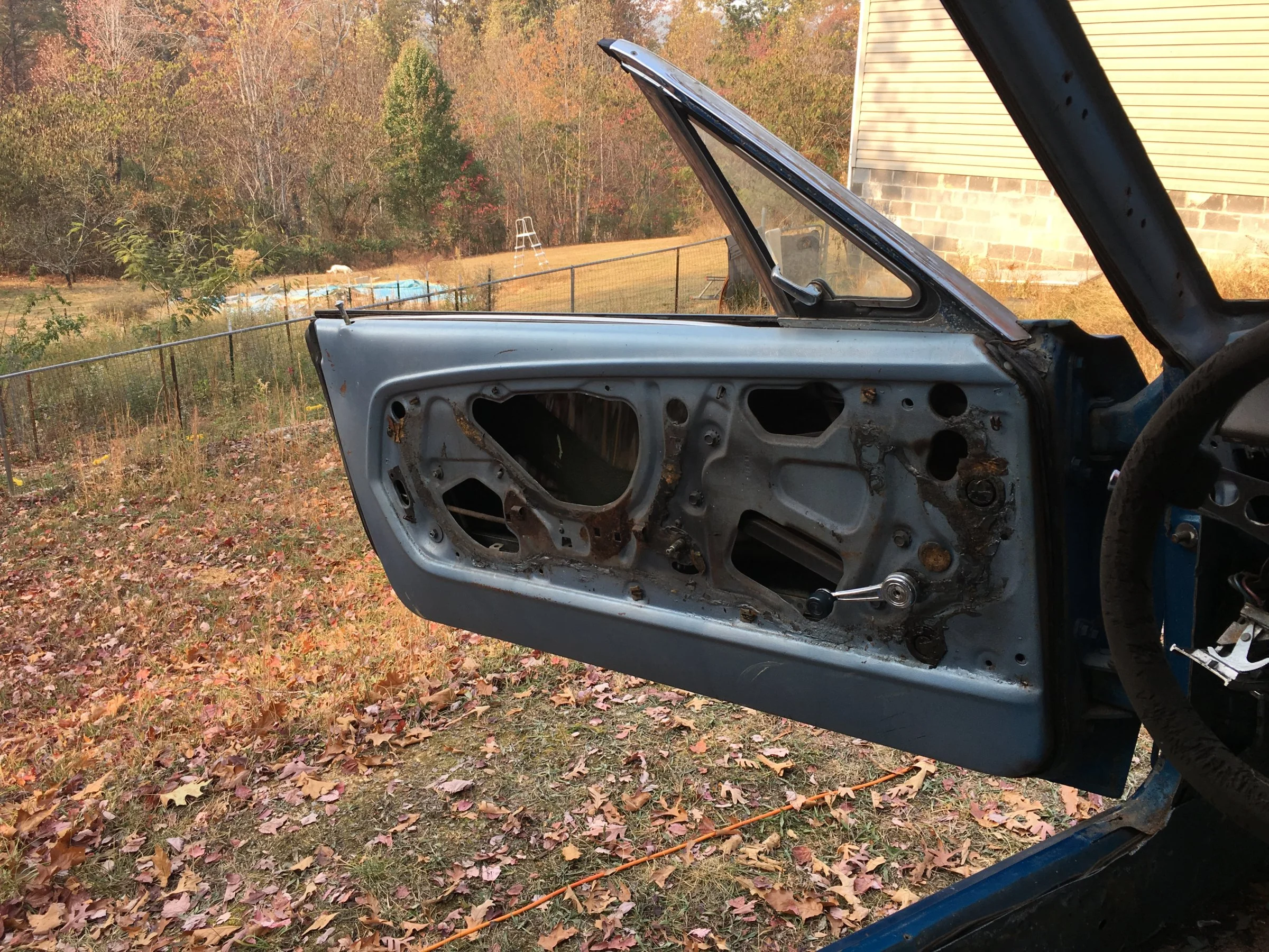 IMG_0213.webp