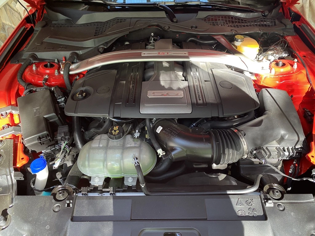 IMG_0214.jpeg