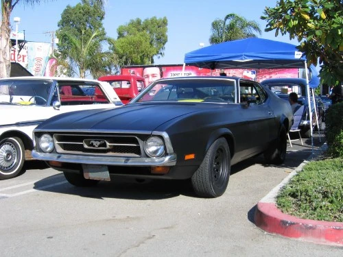 IMG_0216-vi.webp