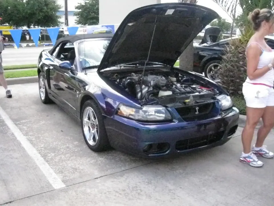IMG_0283.webp