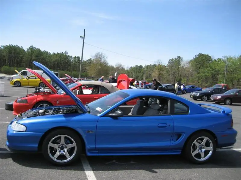 IMG_0284Large.webp