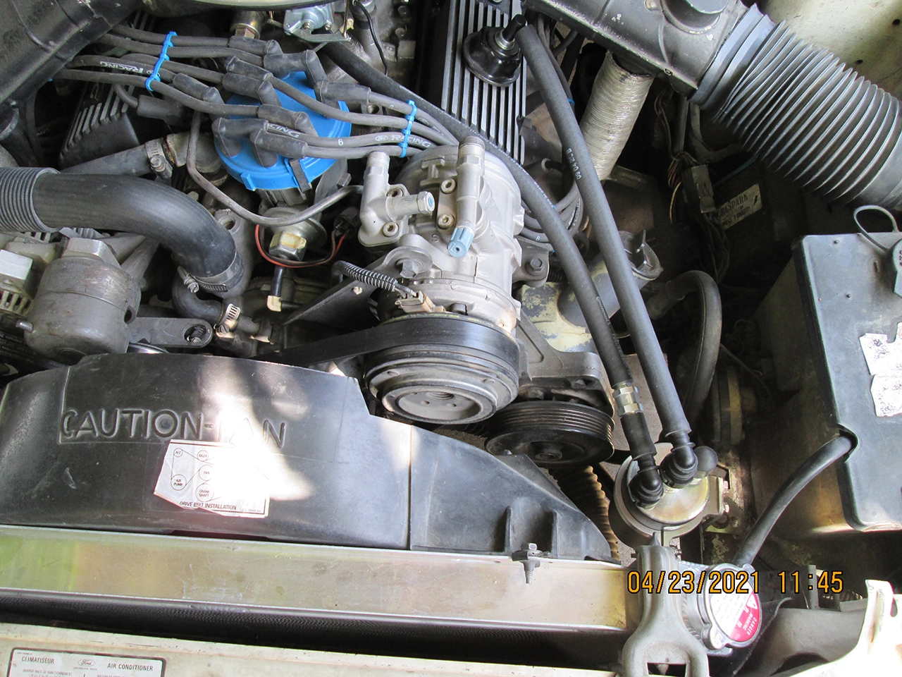 IMG_0308a.webp
