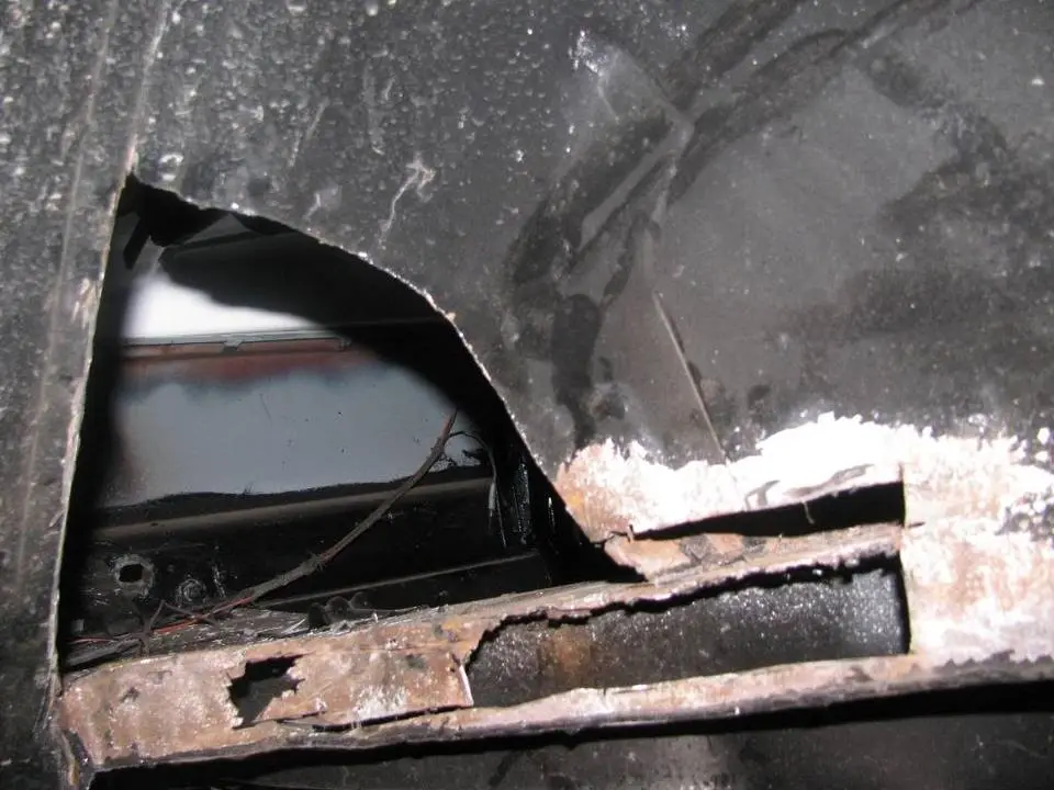 IMG_0343.webp