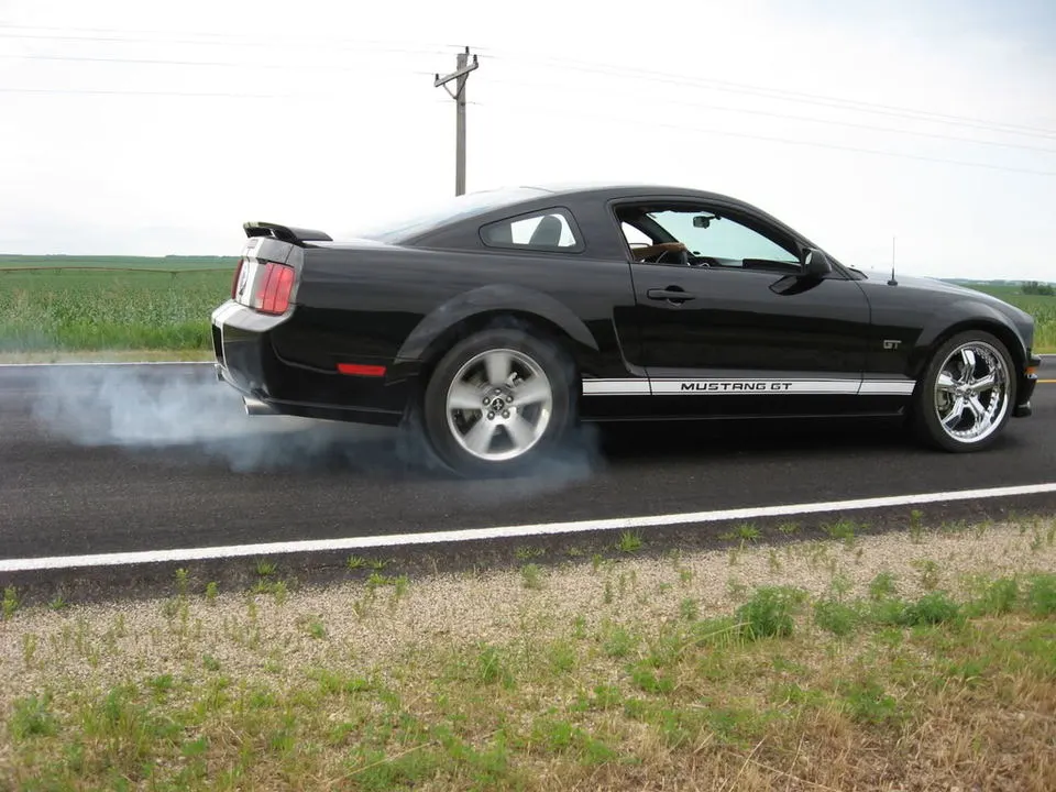 IMG_0491.webp