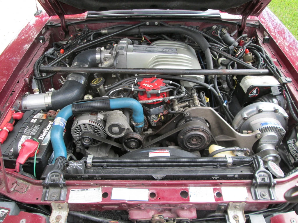 IMG_0521(small).lpg.webp