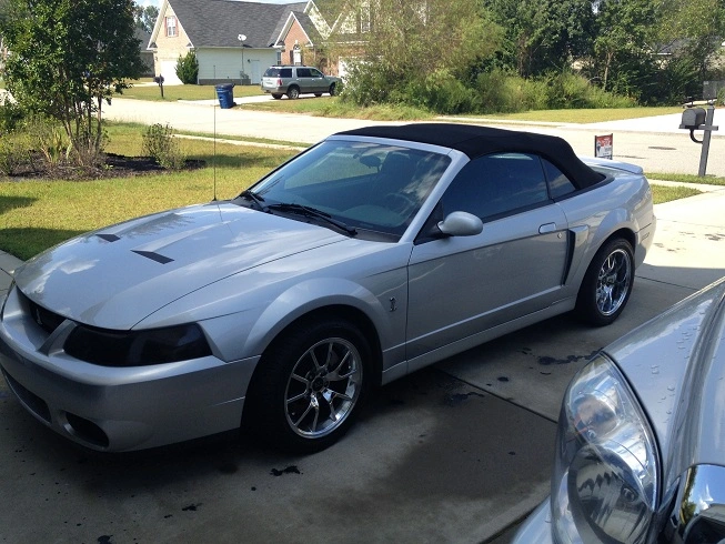 IMG_0586_zps2a195781.webp