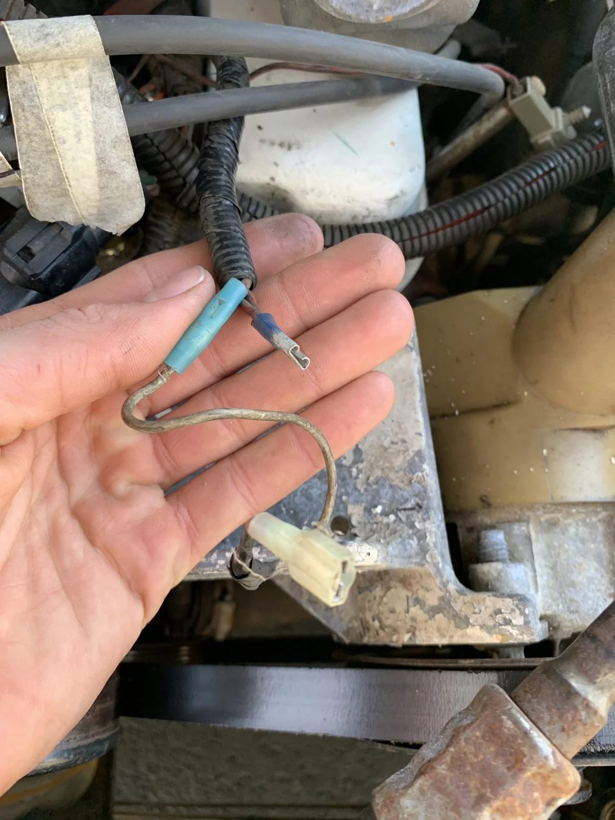 IMG_0591 (1).webp