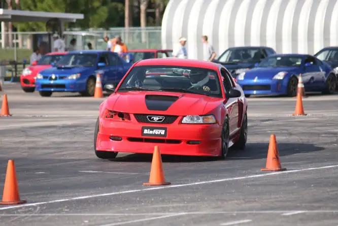 IMG_0604-1.webp