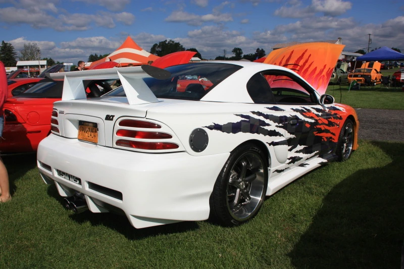 IMG_0608.webp