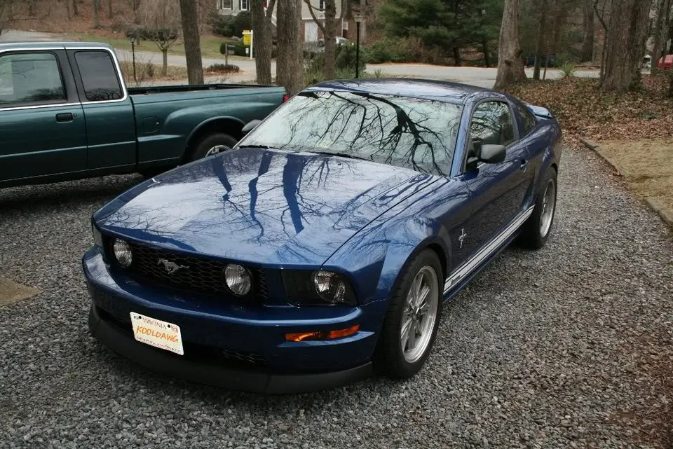 IMG_0613A.webp
