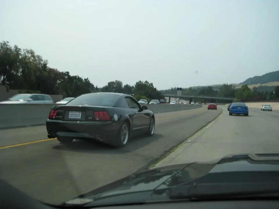 IMG_0671.webp