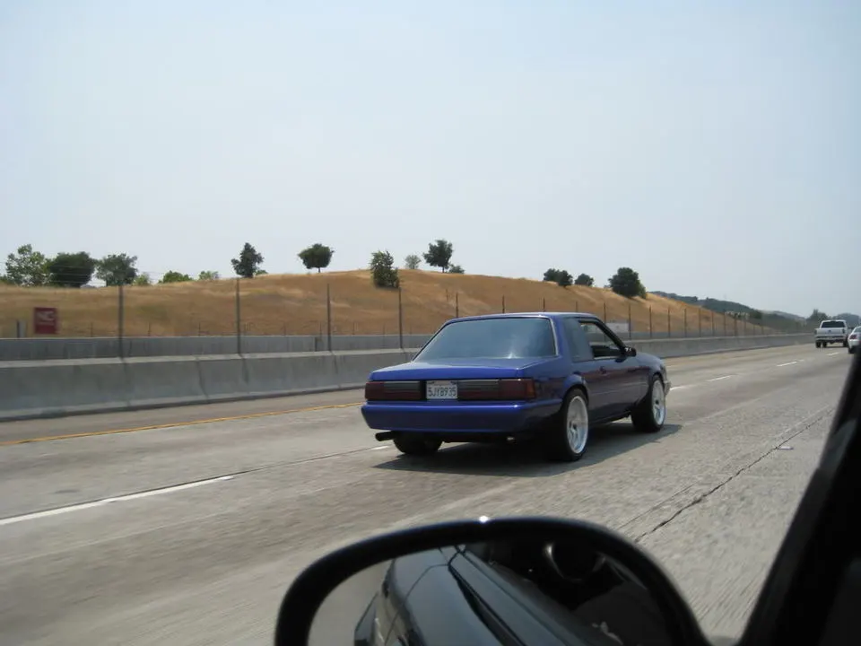 IMG_0698.webp