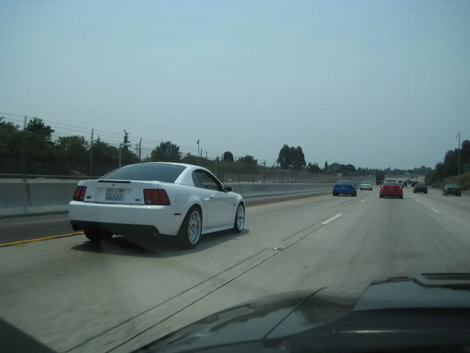 IMG_0704.webp