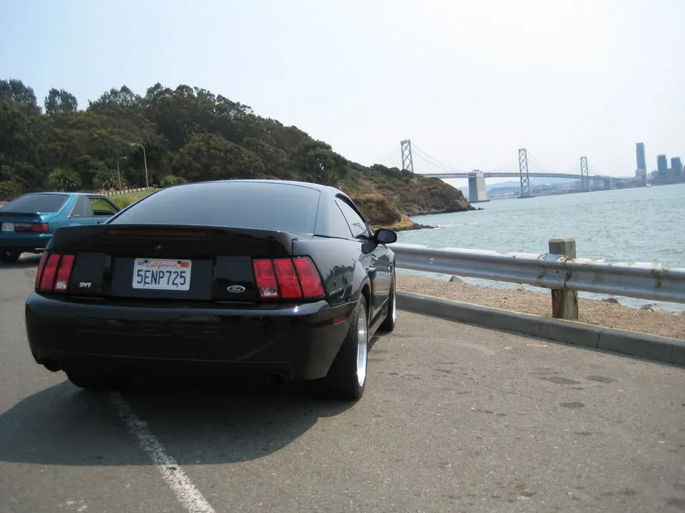 IMG_0727.webp