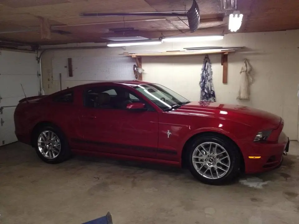 IMG_0865_zpsb2762f86.webp