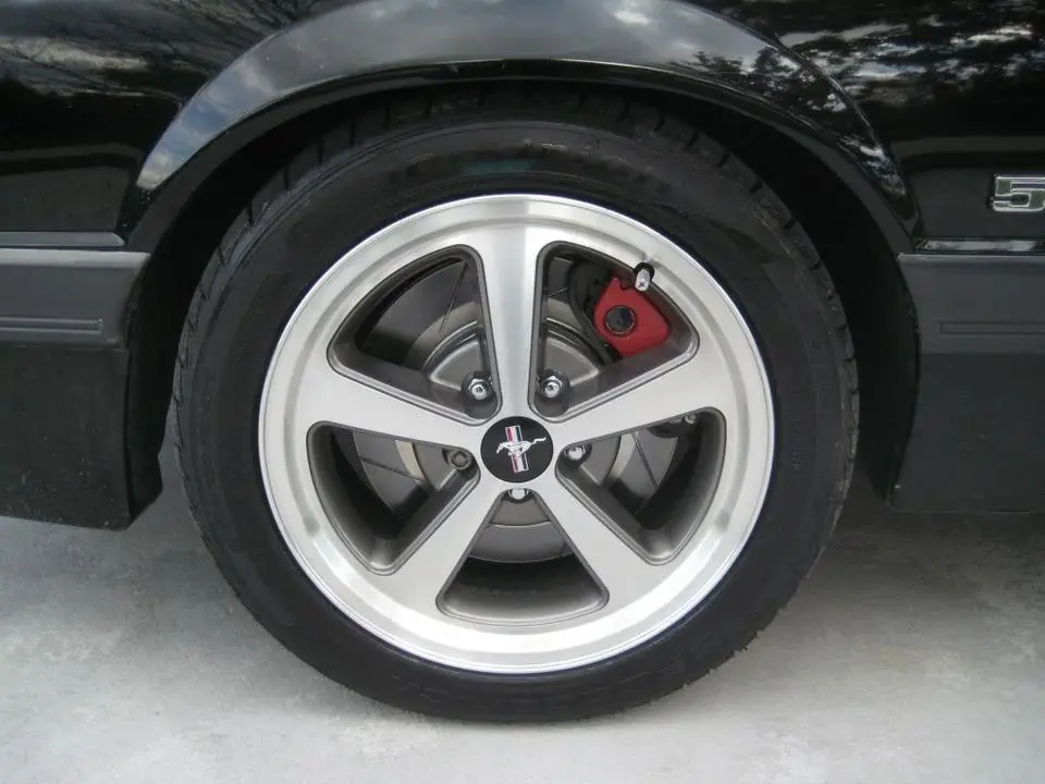 IMG_0952.webp