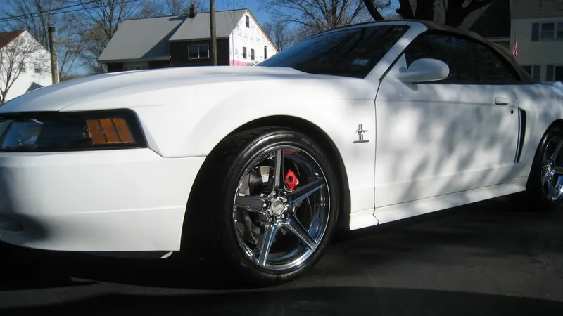 IMG_1044.webp