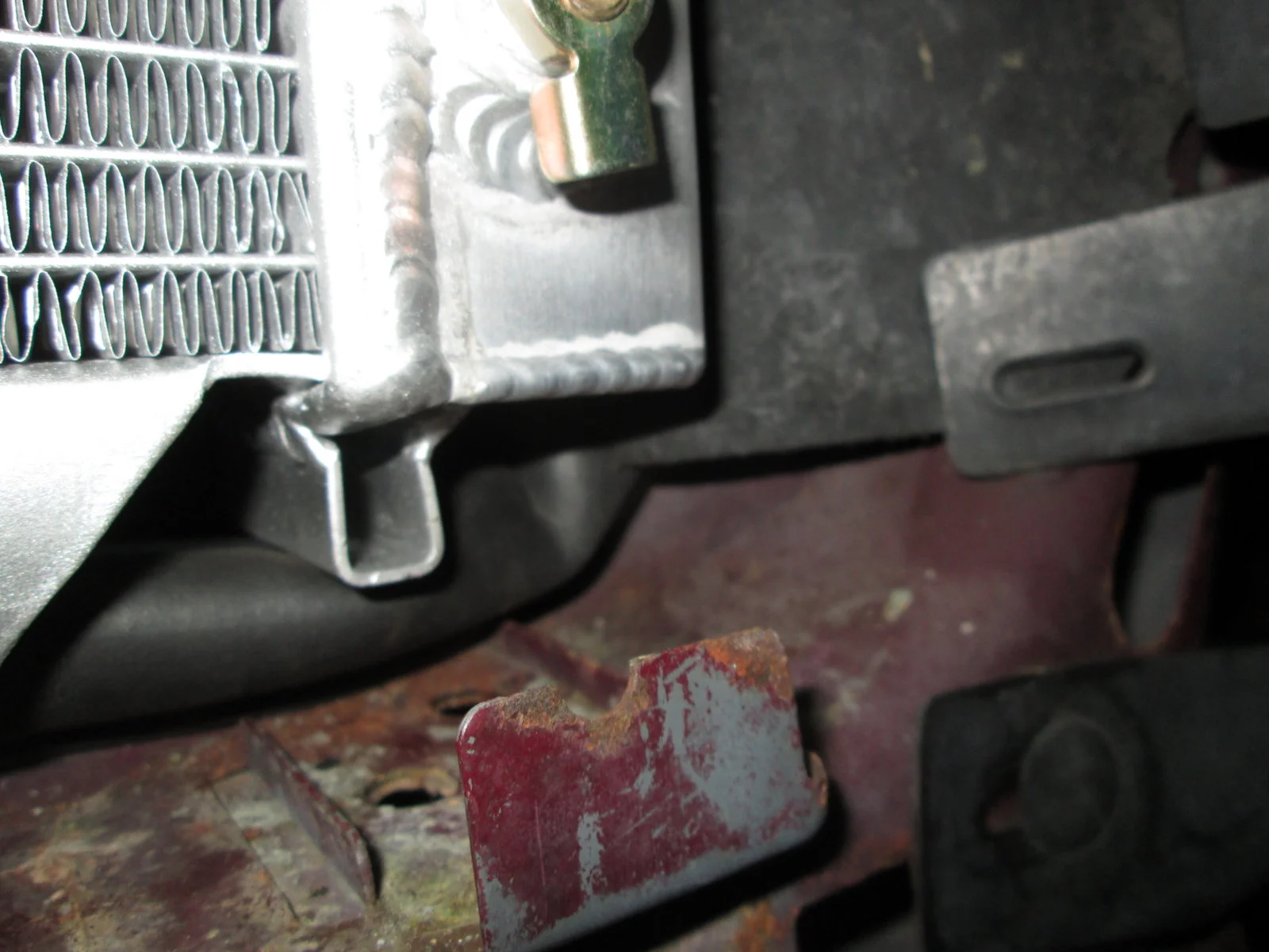 IMG_1056.webp