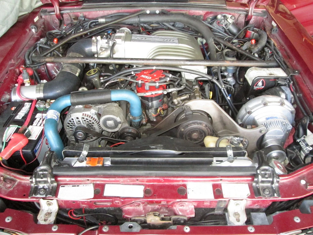 IMG_1140 (small).webp