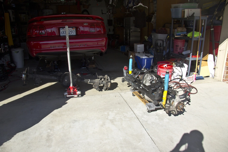 IMG_1146Small.webp