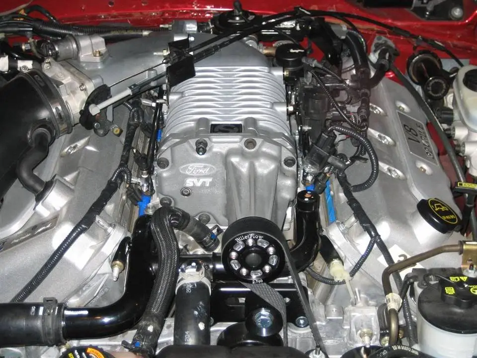 IMG_1161Large.webp