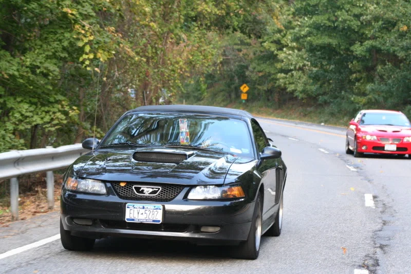 IMG_1196.webp