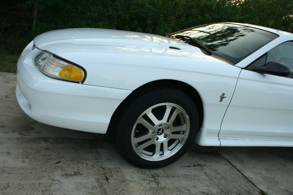 IMG_1206_001.webp