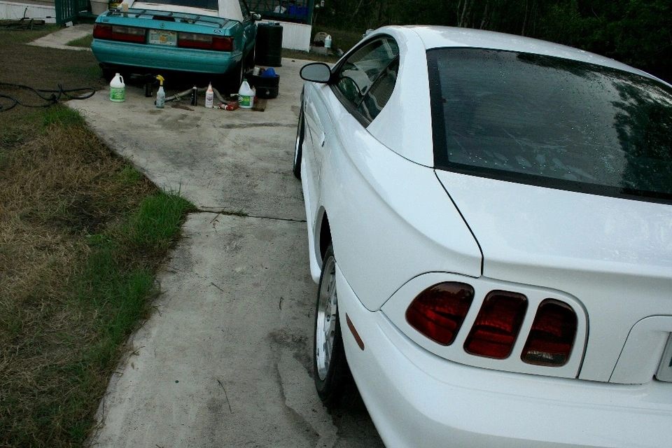IMG_1207_001.webp