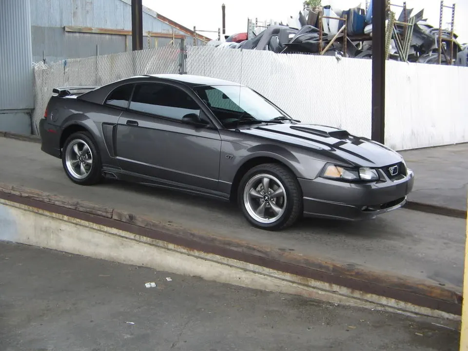 IMG_1241.webp