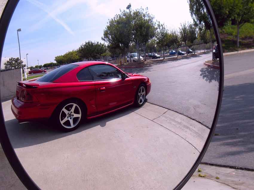 IMG_1263CleanResized.webp