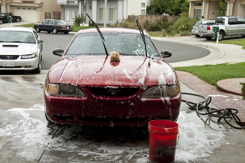 IMG_1312Small.webp