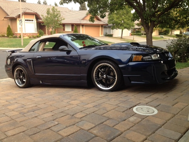 IMG_1339.webp