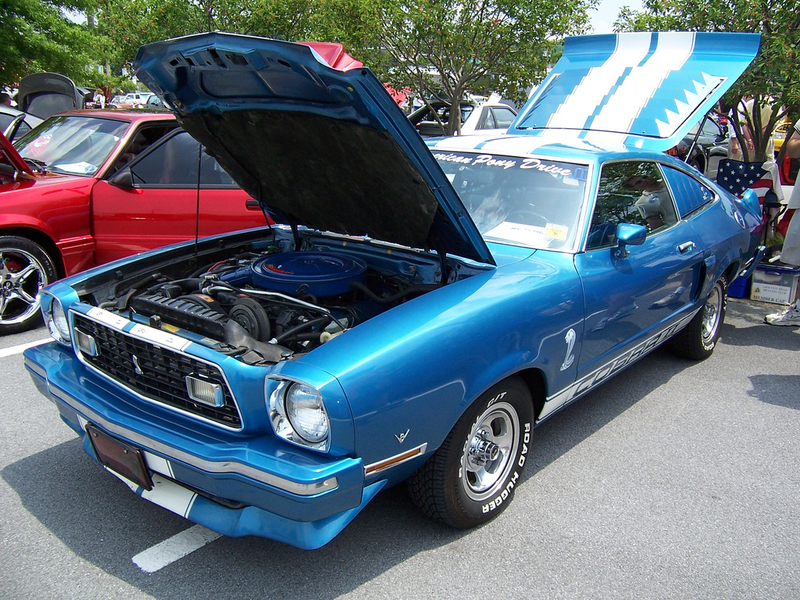 IMG_1404.webp