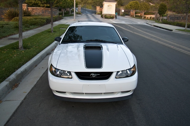 IMG_1524Small.webp