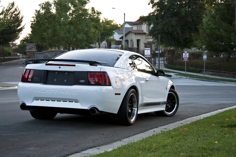 IMG_1537Small.webp