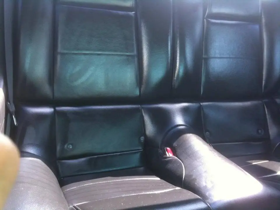 IMG_1543.webp
